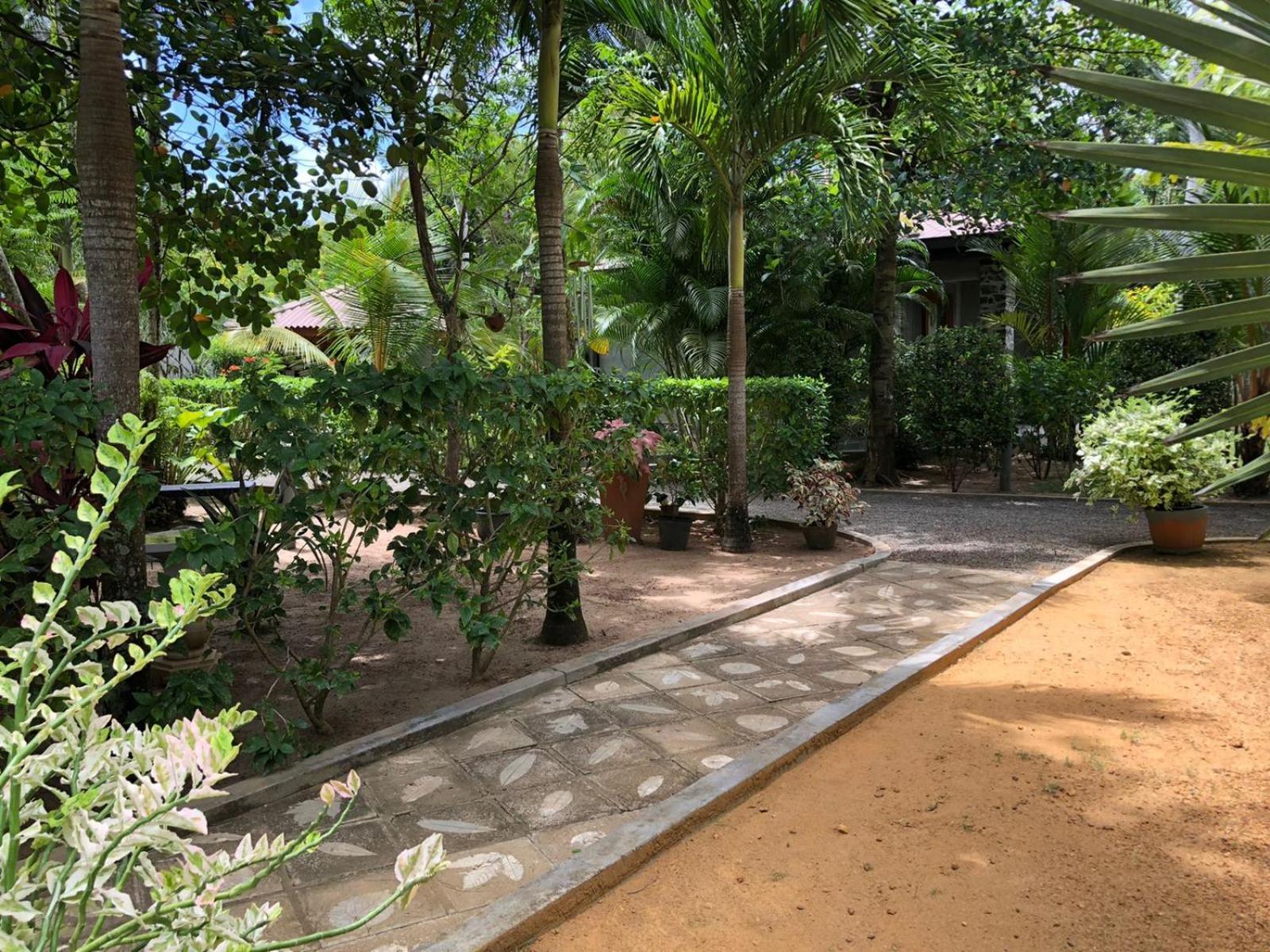 Avalon Village Resort Induruwa Quarto foto